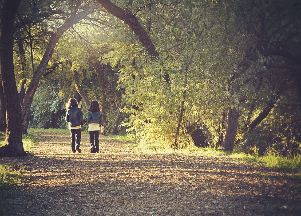 3 different walks to stimulate the brain and successfully protect it from advancing age