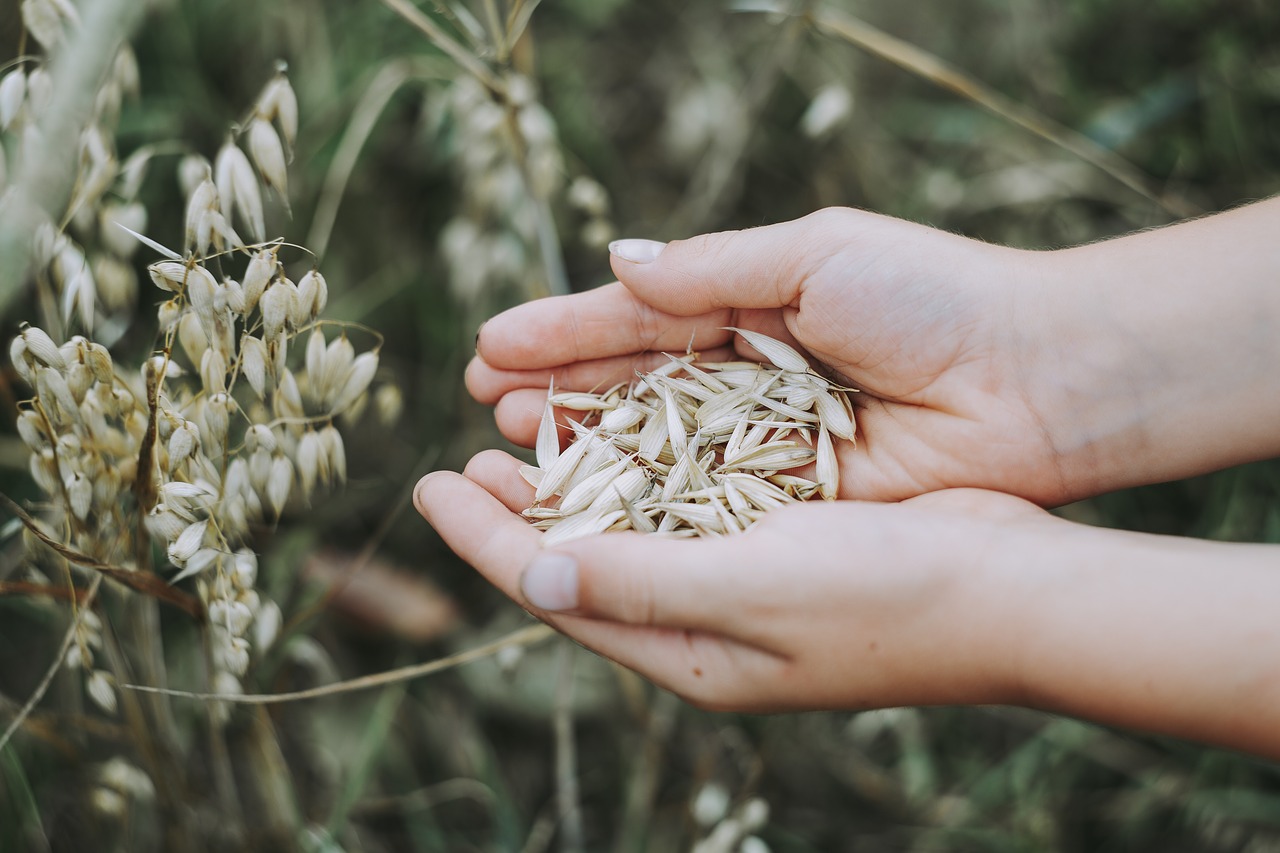 According to science, this is the best flour in the world for diet and intestines